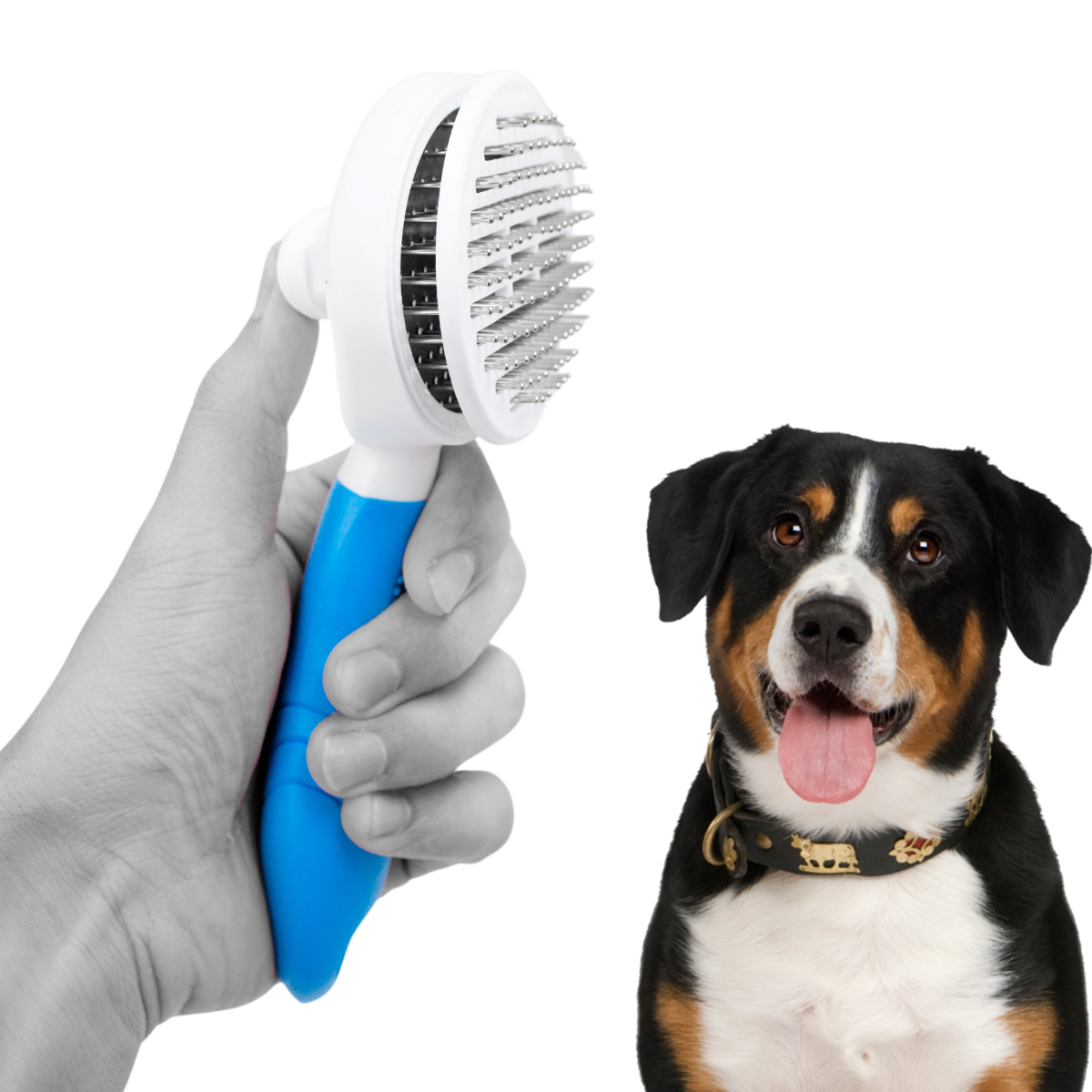 Rasqueadeira Removedor Tira Pelos Pet Ani...